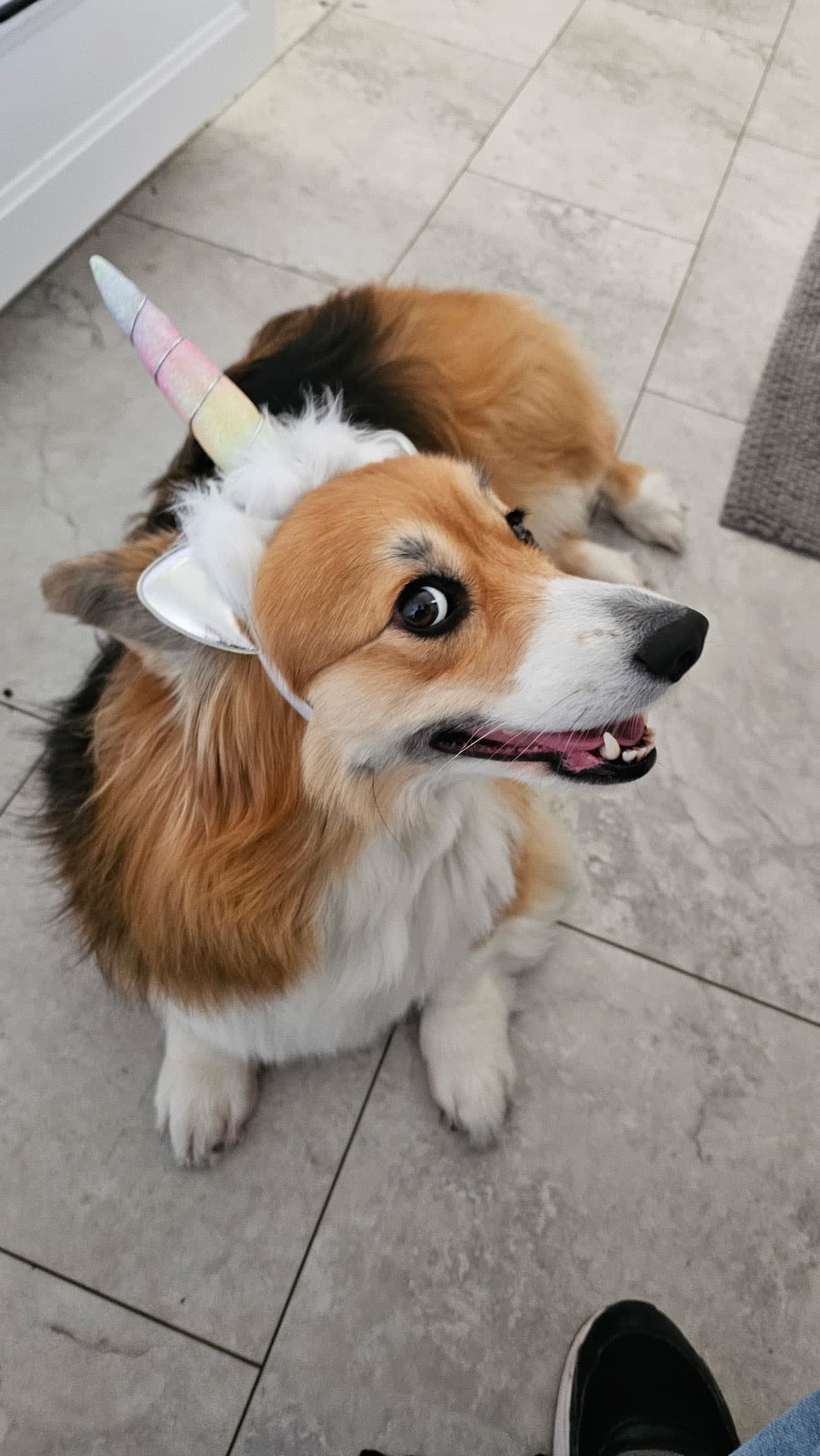 Charlie - Director of Quality Control